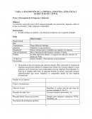 DESCRIPCIÓN DE LA EMPRESA, INDUSTRIA, ESTRATEGIA Y ESTRUCTURA DE CAPITAL