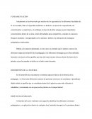 Programa para clases de pedagogía