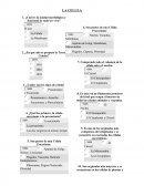 LA CELULA-CUESTIONARIO