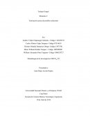 Teorización acerca de posibles soluciones.