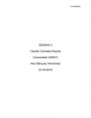 Como Analista Financiero está de relator en un programa de capacitación interna en su empresa