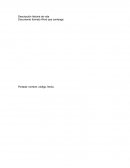 Descripción historia de vida