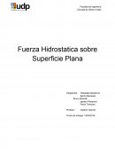 Fuerzas Hidrostaticas sobre superficies planas.