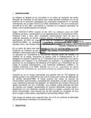 Protocolo de uso de Trichoderma sp en el cultivo de clavel.