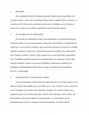 Ensayo equidad de genero.