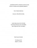 Física I: Mecánica Newtoniana.