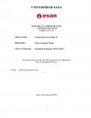 Trabajo Desempeño Individual.