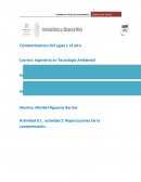 Contaminantes del agua y el aire.