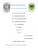 Reseña de la historia de la computacion.