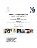 Informe Elaboración de Salchicha Viena.