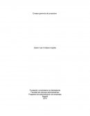 Ensayo de gerencia de proyectos