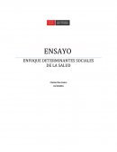 Ensayo Enfoque Determinantes Sociales de la Salud.