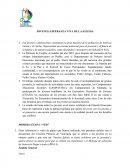 JÓVENES: ESPERANZA VIVA DE LA IGLESIA