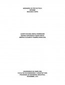 INFORME PRIMER CORTE PROYECTOS