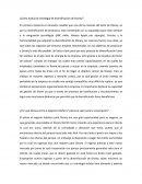¿Cómo evalúa la estrategia de diversificación de Disney?.