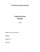 Información nutricional. RED BULL DORITOS OREO