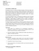 TRANSPORTE TERRESTRE.