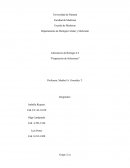 Laboratorio de Biología # 2 “Preparación de Soluciones”