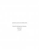 Las funciones ejecutivas en la enseñanza media.