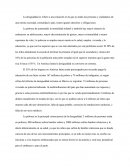 La desigualdad se refiere a una situación en la que no todas las personas y ciudadanos de una misma sociedad