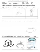 PRUEBA DE DIAGNOSTICO DE CIENCIAS NATURALES