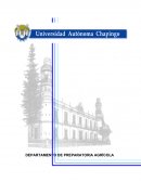 VIAJE DE ESTUDIOS A CACAXTLA, TLAXCALA