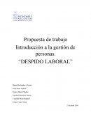 Informe despido laboral