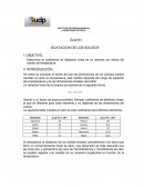 Experimento laboratorio Calor y ondas.