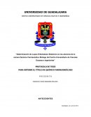 “Determinación de Lupus Eritematoso Sistémico en los alumnos de la carrera Químico Farmacéutico Biólogo del Centro Universitario de Ciencias Exactas e Ingenierías”