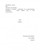 Alternativas en sus tres enfoques