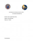 Act aplicacion base de datos