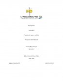 Según su opinión, ¿Qué resultados presupuestales deben conocerse para iniciar el presupuesto de producción?