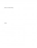 PROYECTO DE AUMENTO DE PRODUCTIVIDAD CEDIVE