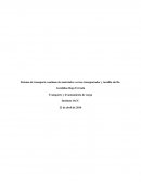 Sistema de transporte continuo de materiales: correa transportador y tornillo sin fin