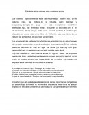 Estrategia de los océanos rojos – océanos azules.