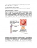 ¿Cuál es la técnica utilizada en la criocirugía?