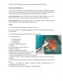 Tecnica Anestesica Supraperiostica Odontologia