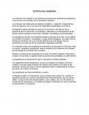 ESTÉTICA DEL INGENIERO.