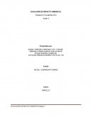 EVALUAIÓN DE IMPACTO AMBIENTAL TRABAJO COLABORATIVO FASE II