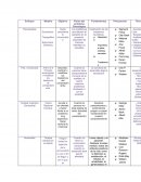 Enfoques y estructuras de las ramas de psicología