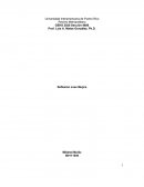 La Reflexion de Globalizacion segun Mujica..