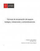 Técnicas de recuperación del espacio biológico, indicaciones y contraindicaciones.