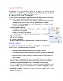 Motilidad GASTROINTESTINAL