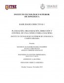 HABILIDADES DIRECTIVAS 1 PLANEACIÓN, ORGANIZACIÓN, DIRECCIÓN Y CONTROL DE UNA CONSULTORIA COACHING