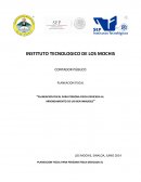PLANEACION FISCAL PARA PERSONA FISICA DEDICADA AL ARRENDAMIENTO DE UN BIEN INMUEBLE