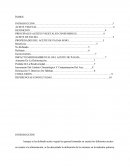 Aceite de Palma. Propiedades del aceite de palma