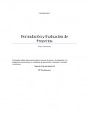 Formulacion y evaluacion de proyectos.
