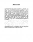 Videojuegos. Los dichos y la controversia causada