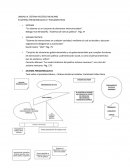 SISTEMA PRESIDENCIALISTA Y PARLAMENTARISTA.