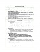 Descripcion y analisis de cargos.